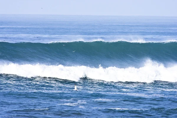 Ранняя калифорнийская волна — стоковое фото
