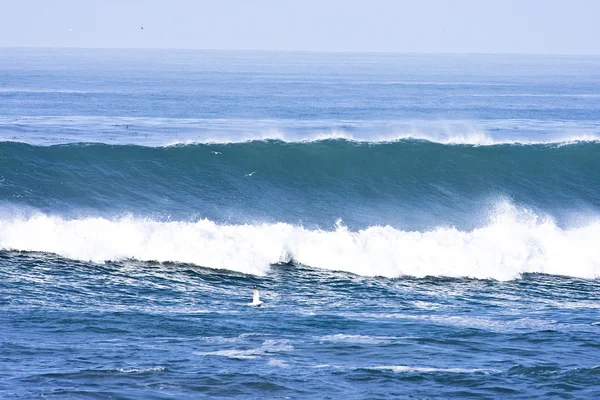 Onda de california temprano en la mañana —  Fotos de Stock