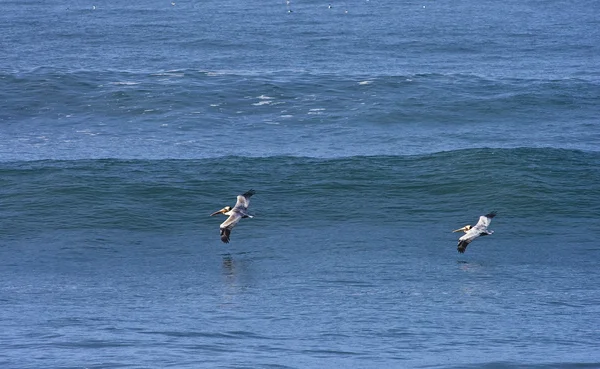 Onda de california temprano en la mañana — Foto de Stock