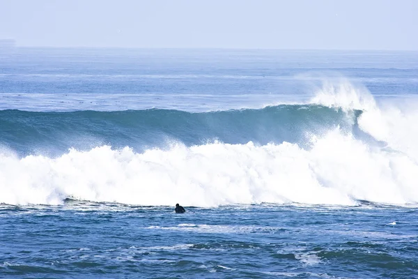 Ранняя калифорнийская волна — стоковое фото