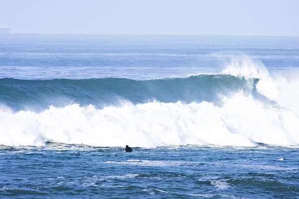 Onda de california temprano en la mañana —  Fotos de Stock