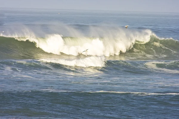 Early morning california wave — Stock Photo, Image