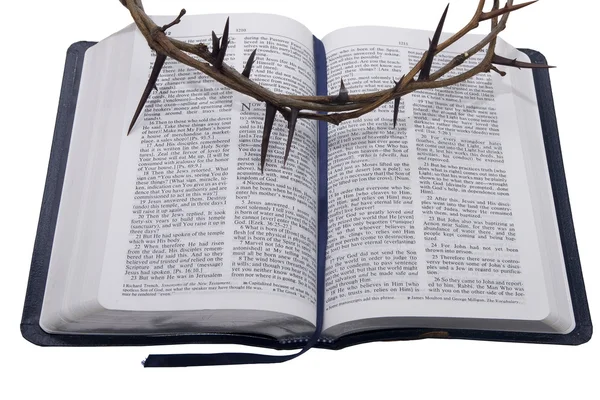 Crown of thorns — Stock Photo, Image