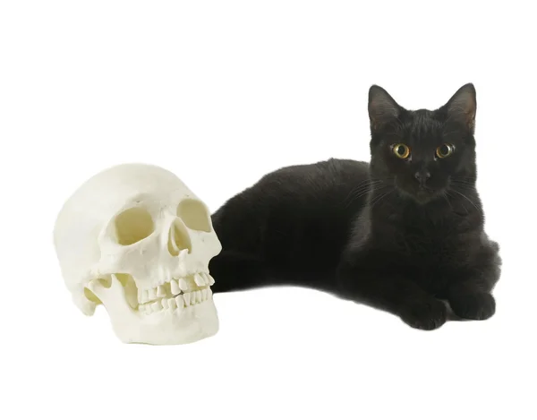 Black cat with green eyes by Human skull — Stock Photo, Image