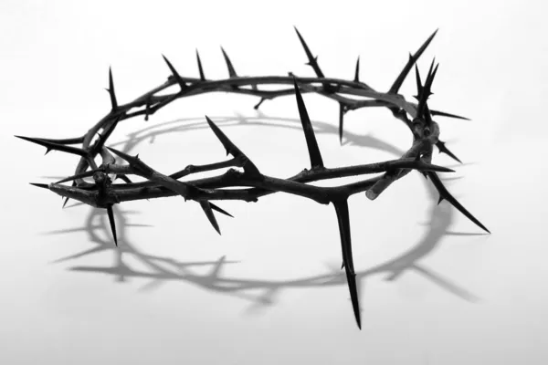 Crown of thorns — Stock Photo, Image