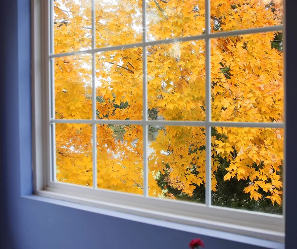 Autumn leaves at window — Stock Photo, Image