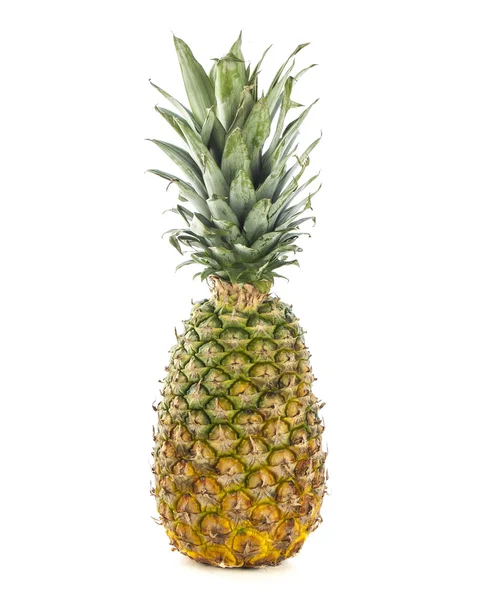 Geïsoleerde ananas — Stockfoto