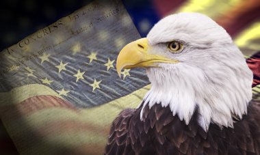 eski görünümlü Amerikan bayrağı ile kel kartal