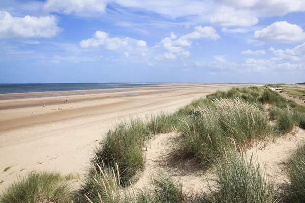 Zandduinen holkham strand north norfolk — Stockfoto