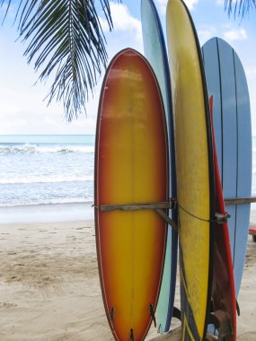 sörf tahtaları beach kuta Bali