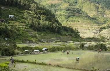 Mountain village banaue luzon philippines clipart