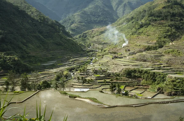 Ris terrasser banaue luzon-Filippinerna — Stockfoto