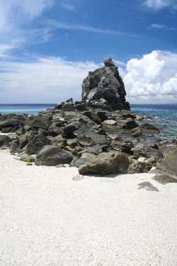 APO Island beach negros Filipinler