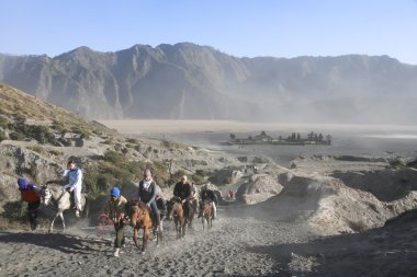 Mount bromo yanardağ at turu