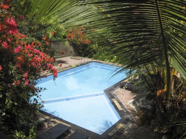 tropikal bahçe Yüzme Havuzu bali