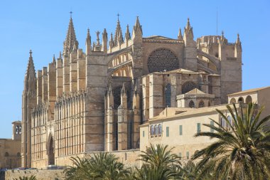 cathedral city Palma Mayorka duvarlar