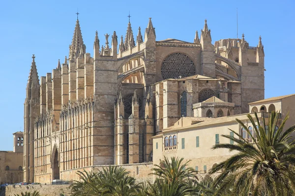 Palma Cathedral City Walls Maiorca — Fotografia de Stock