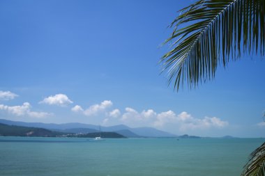 Koh samui tropikal kıyı şeridi