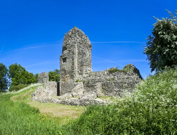 Strand en slakkenBerkhamsted kasteelruïne hertfordshire — Stockfoto