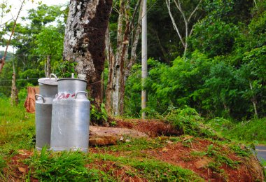 iki eski sütü kapları