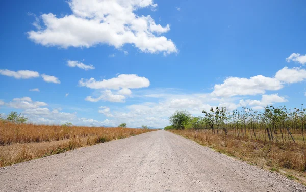 Camino del país — Foto de Stock