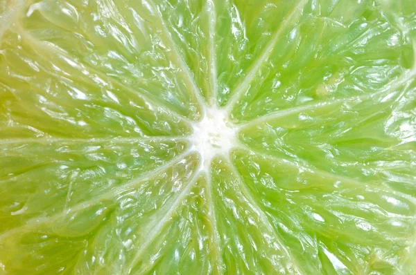 Macro limón — Foto de Stock