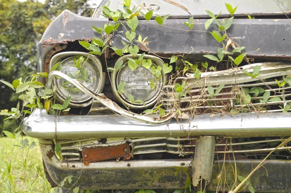 Vecchio Junker — Foto Stock