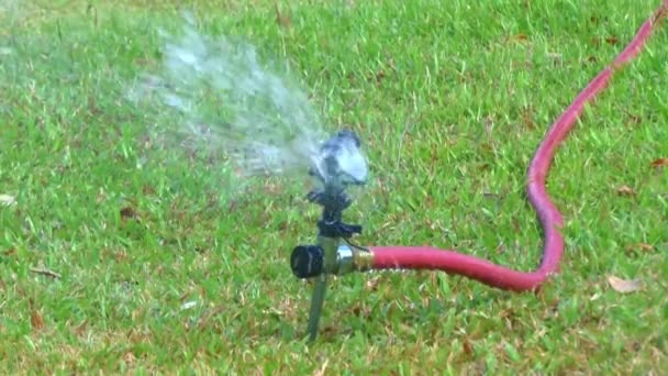 Tuin sprinkler — Stockvideo