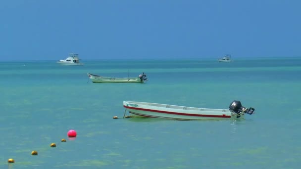 Tre piccole barche vicino a una spiaggia — Video Stock