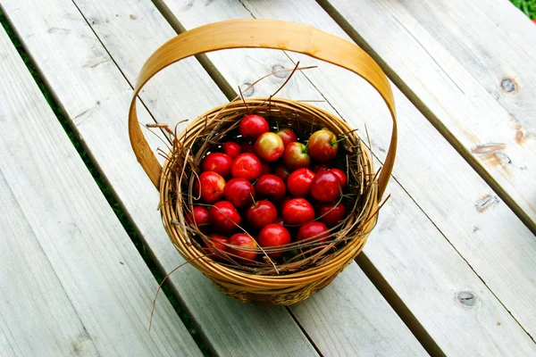 Tropical Cherries — Stock Photo, Image