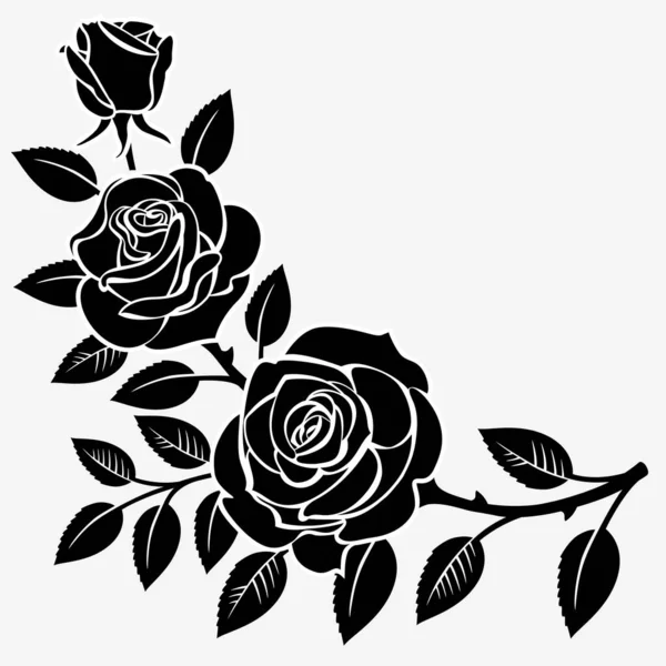 Гілка Троянд Білому Тлі Ліцензійні Стокові Ілюстрації