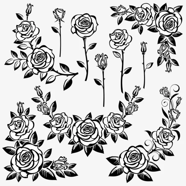 Sammlung Von Rosen Auf Weißem Hintergrund Isoliert — Stockvektor
