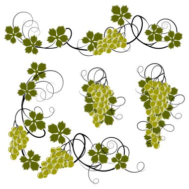 Dekorasyon için sarmaşıktan elementler