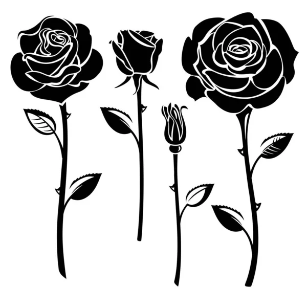 Sammlung Schwarzer Und Weißer Rosen — Stockvektor