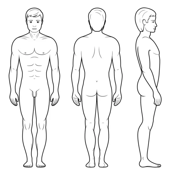 Vectorillustratie Van Mannelijke Figuur Voorkant Achterkant Zijkant Uitzicht Overzicht — Stockvector