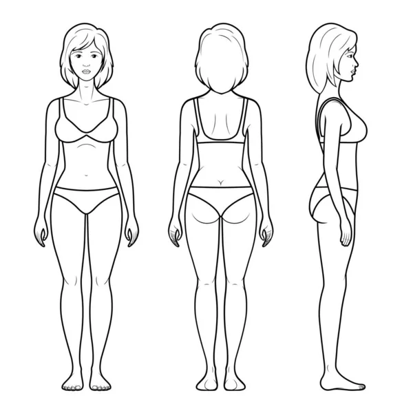 Vector Illustration Female Figure Front Rear Side View Underwear Royalty Free Stock Vectors
