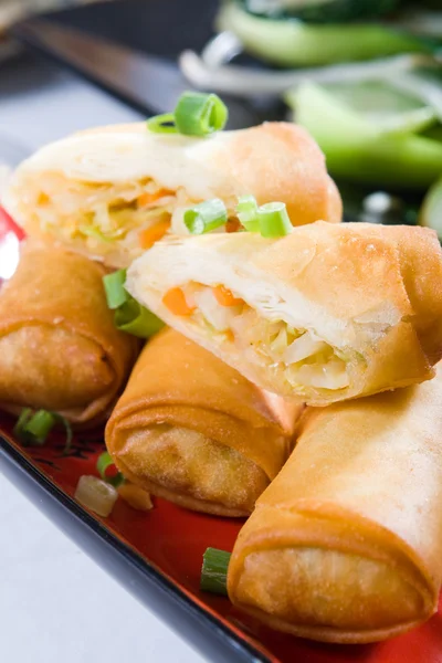 Chiński spring roll — Zdjęcie stockowe