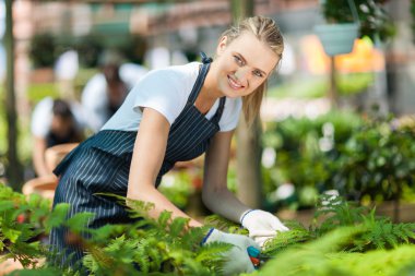 sera içinde çalışan genç kadın kreş işçi