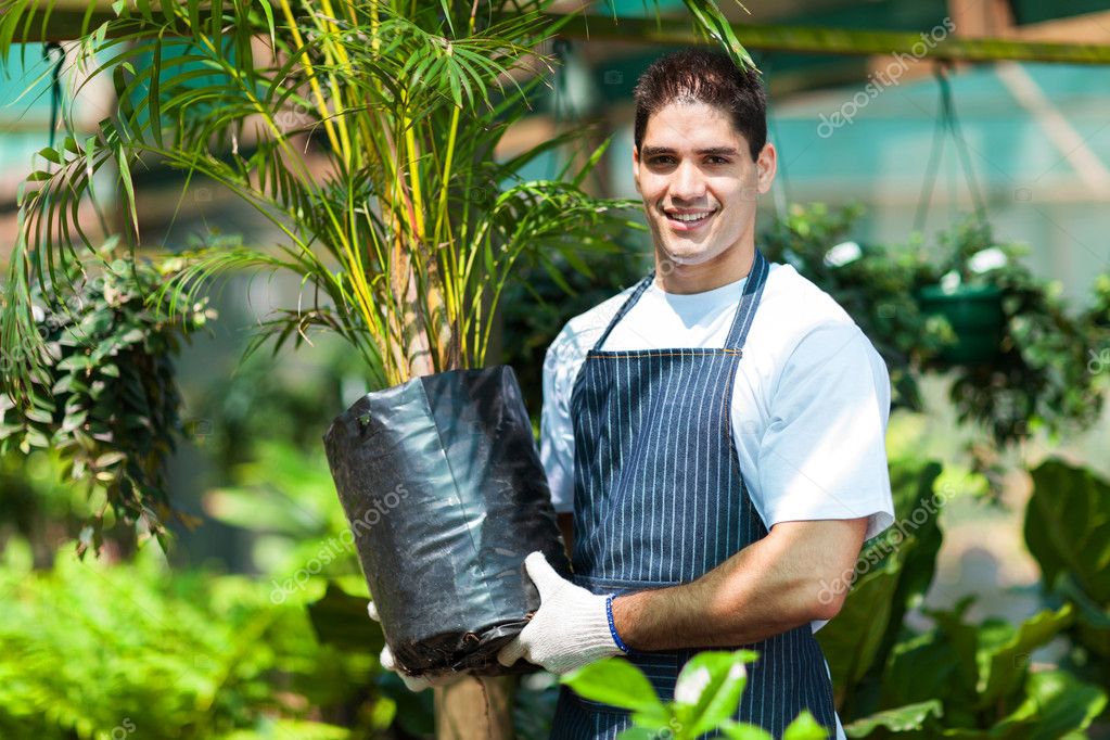 Young gardener working in nursery — Stock Photo © michaeljung 14899811