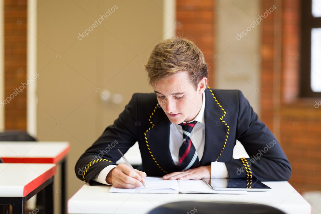 High school boy studying in classroom