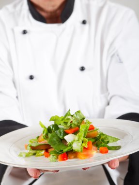 profesyonel şef salata sunulması
