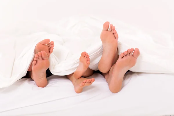 Niedliche Familie liegt unter Bettdecke auf dem Bett — Stockfoto