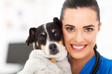 Veteriner ve köpek