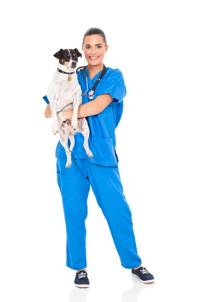 Vet médico segurando cão de estimação — Fotografia de Stock