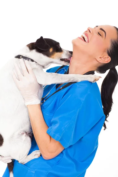 Mascota perro lamiendo veterinario enfermeras cuello — Foto de Stock