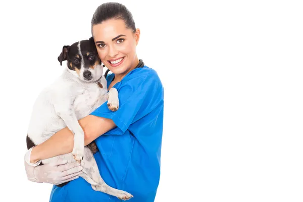 Médico veterinário abraçando cão de estimação — Fotografia de Stock