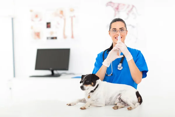 Vétérinaire préparant l'injection au chien malade — Photo