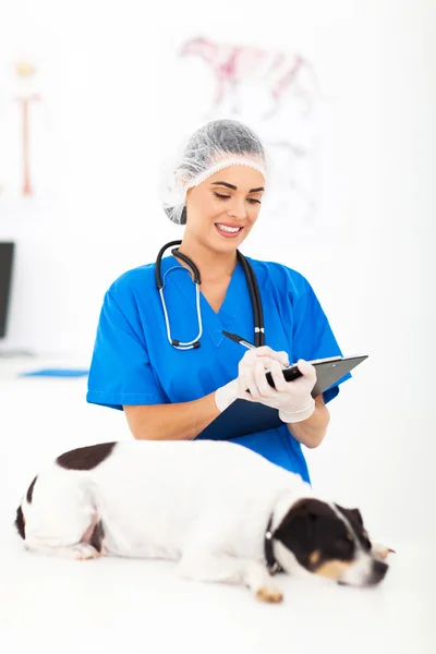 Veterinären skriva rapport — Stockfoto