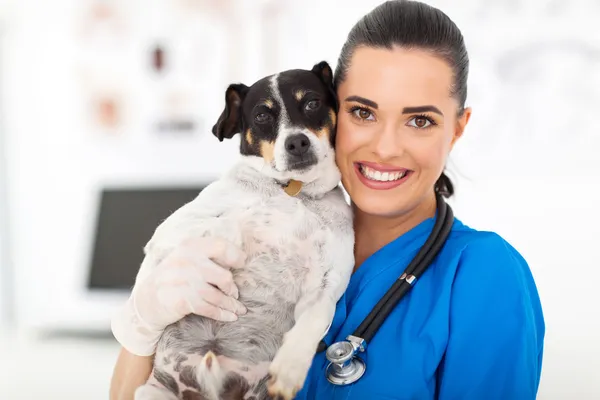 Enfermeira veterinária cão segurando — Fotografia de Stock