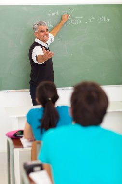 lise öğretmeni öğretim matematik